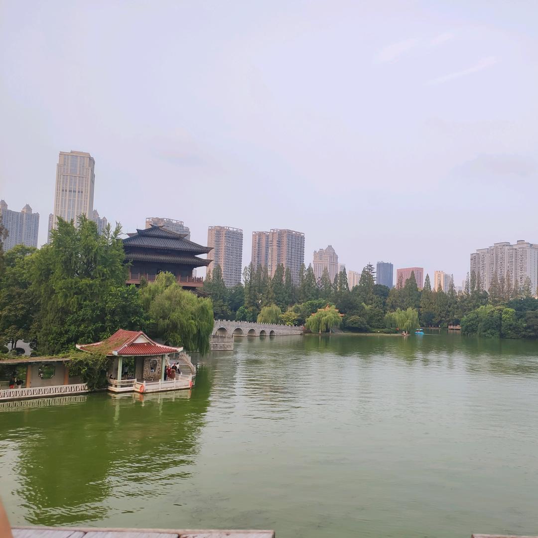 爱运动的大笨象