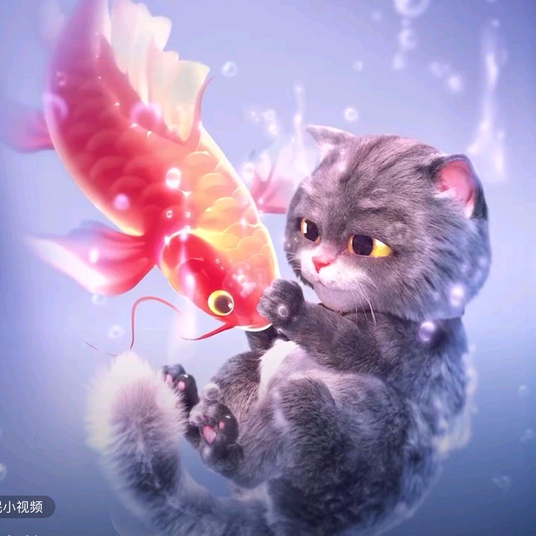 是昔年啊