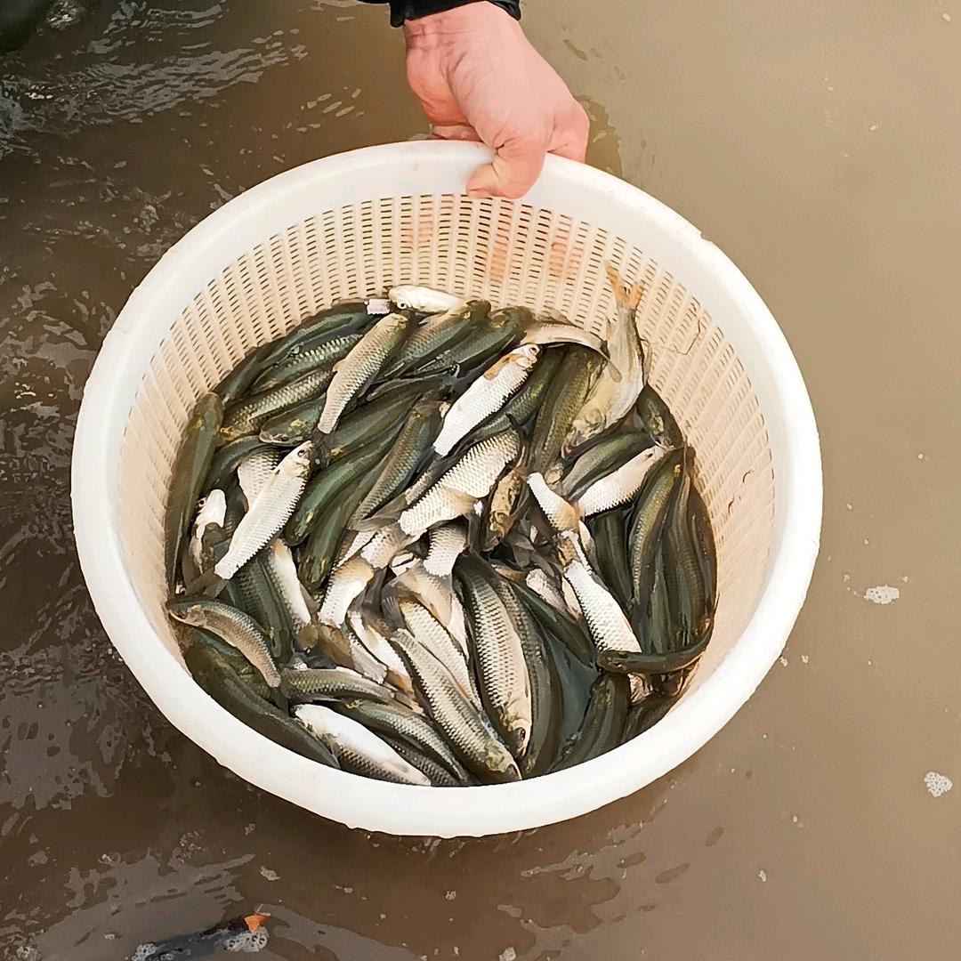 邵清宏
