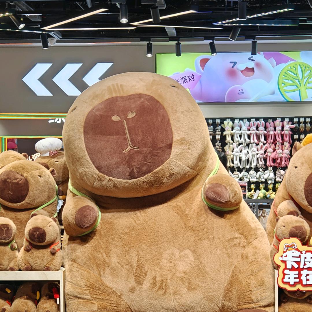 鱼鱼鱼9988