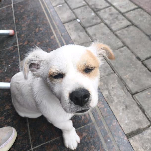 社恐小葵