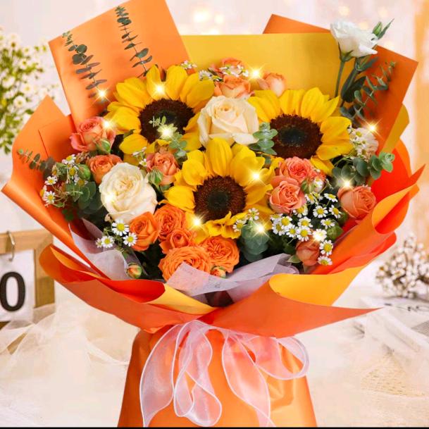 力宏，放我出来