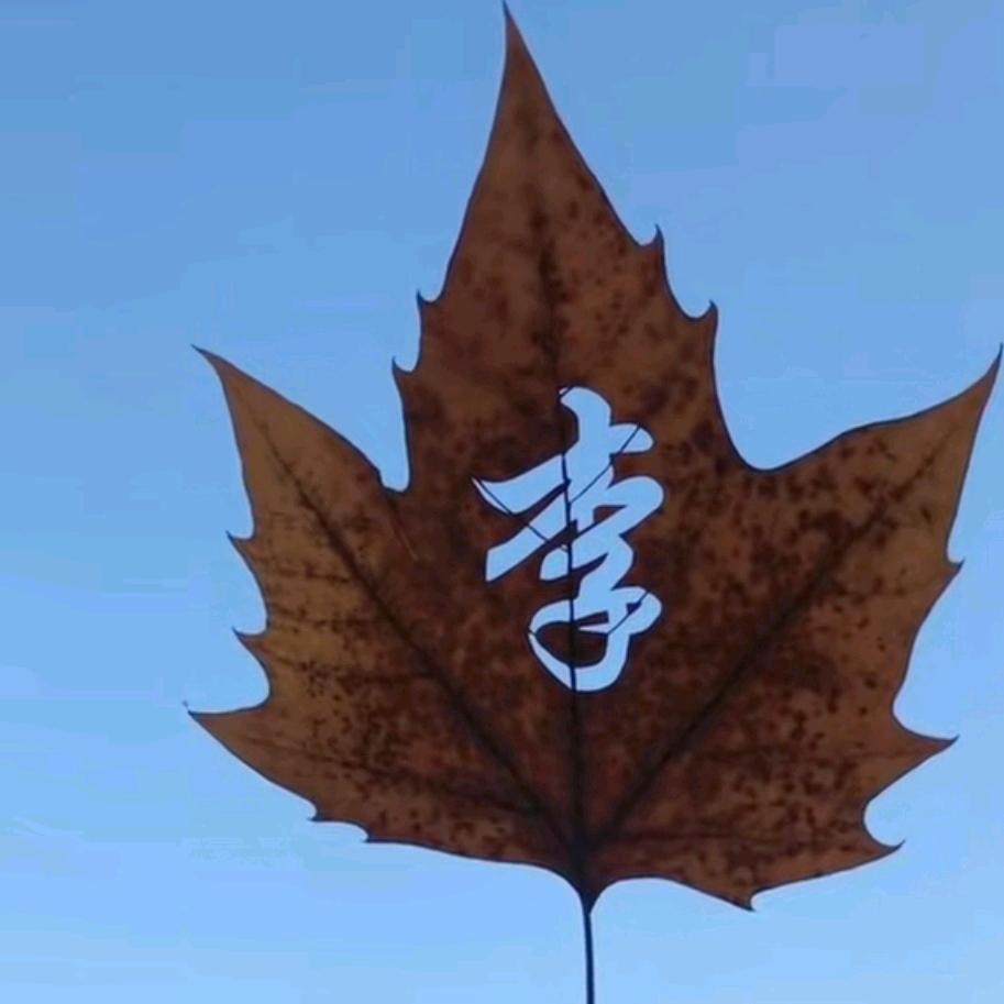 忕佪
