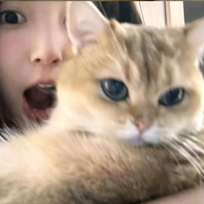 等风来💤