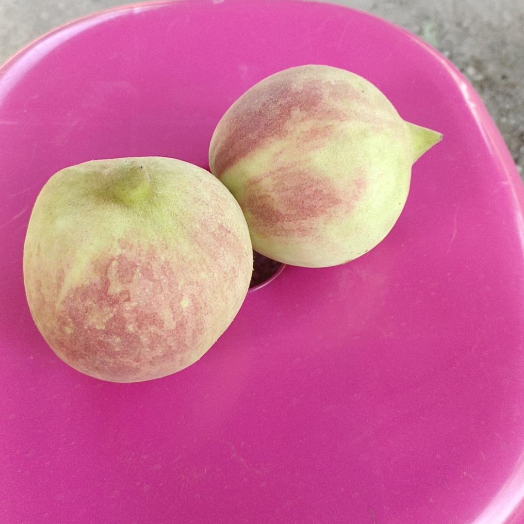 兴福家庭农场.富兴机械出租