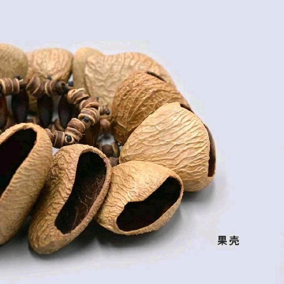 JJ西华