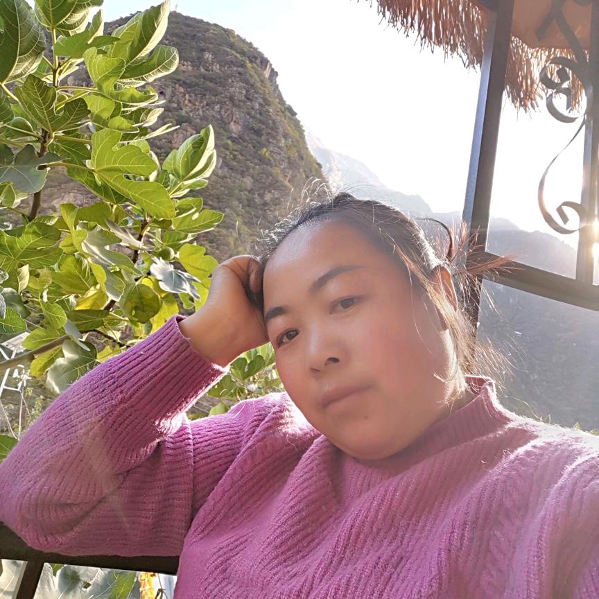 杨三姐