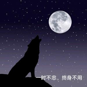 头狼