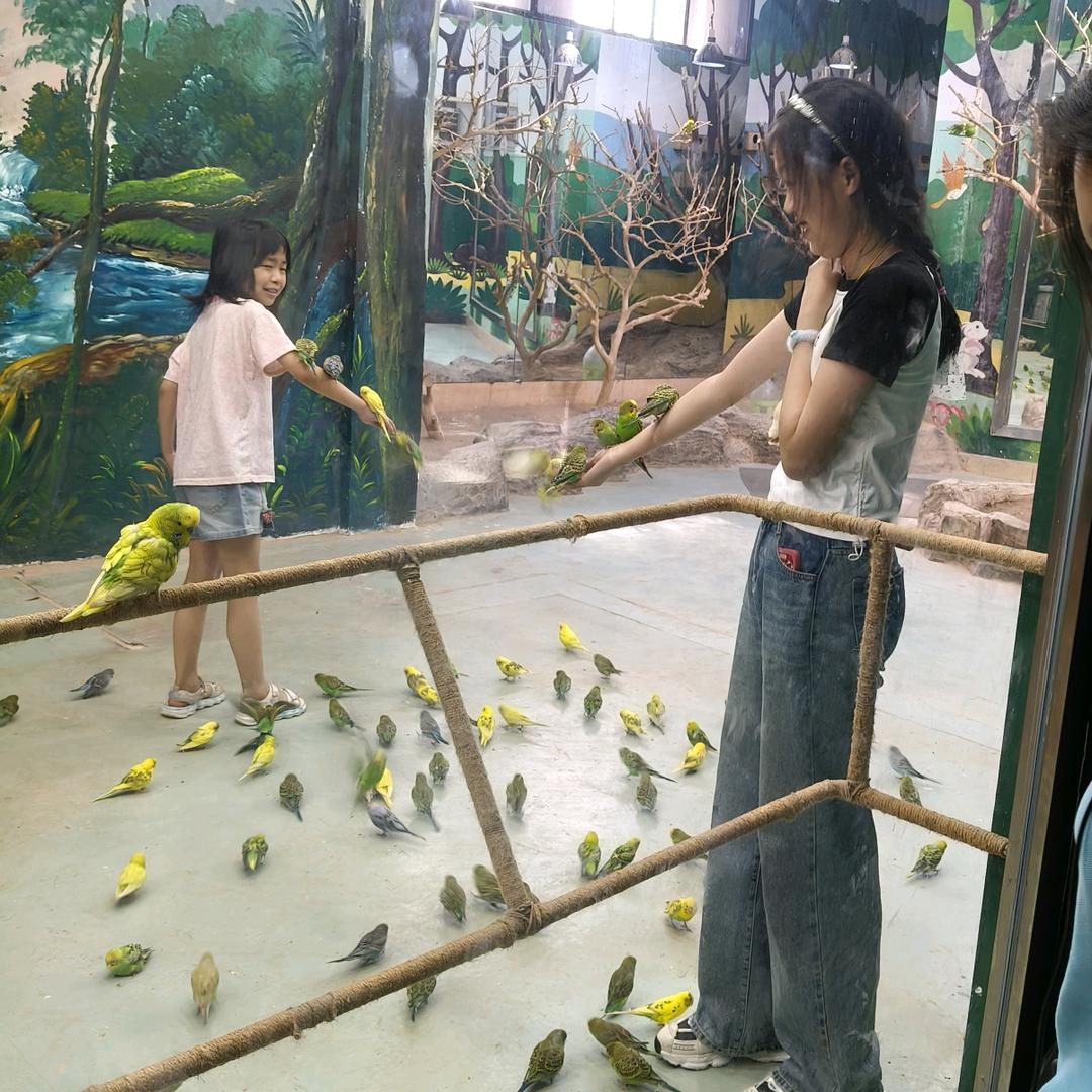 女子无情便是王239537999