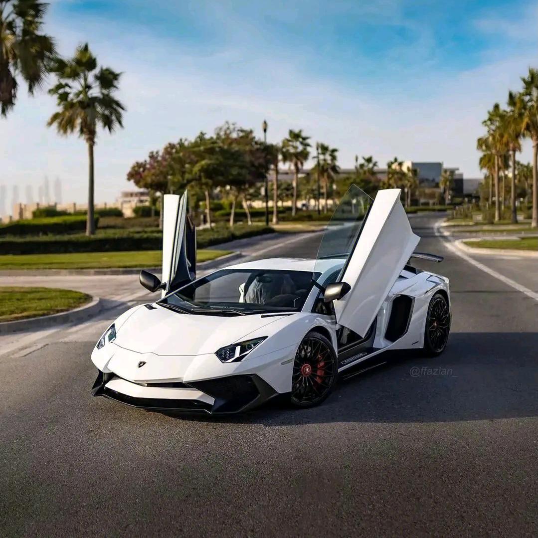 海洋生物研究中心