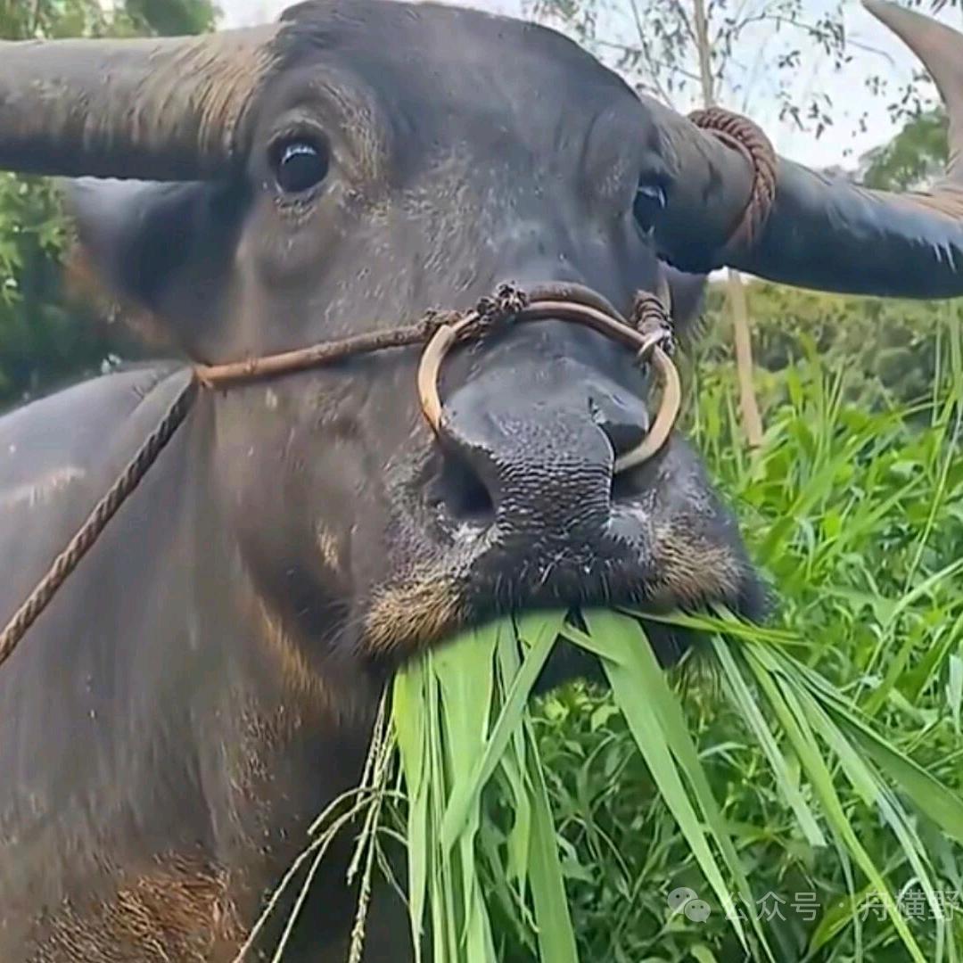 跟我走