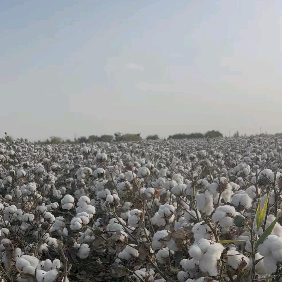 青海高原生物有机肥