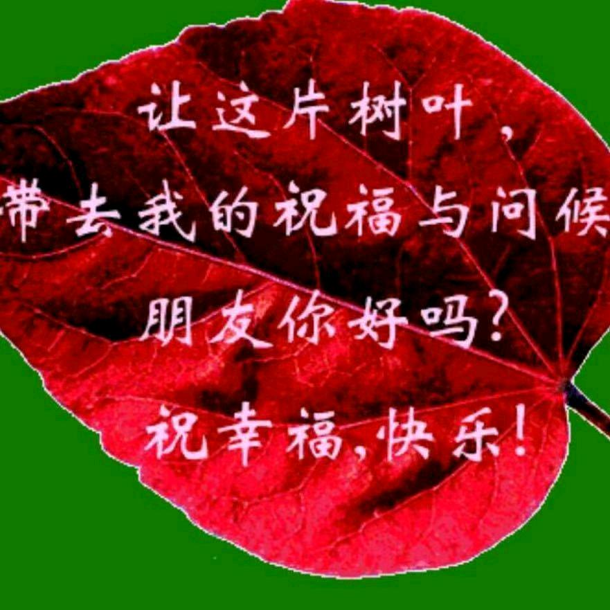 ＇快乐一家人