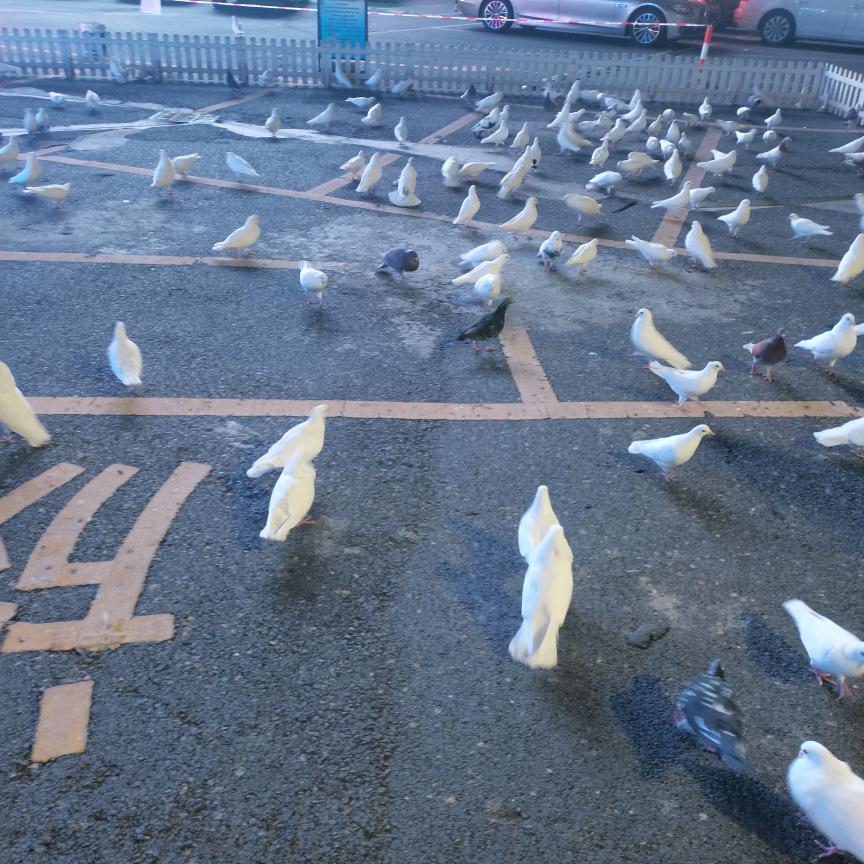 烊光灿烂