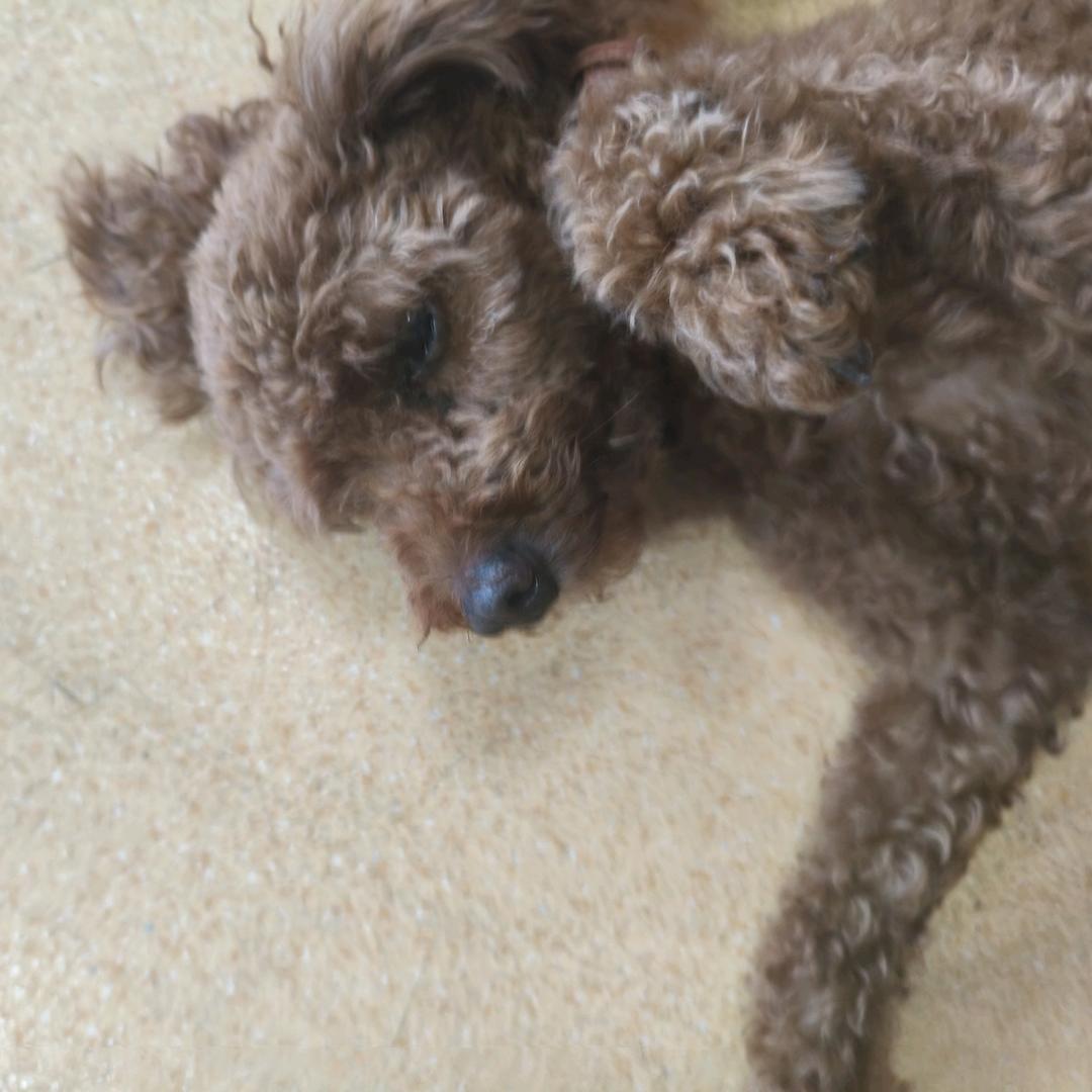 你管我叫啥名字