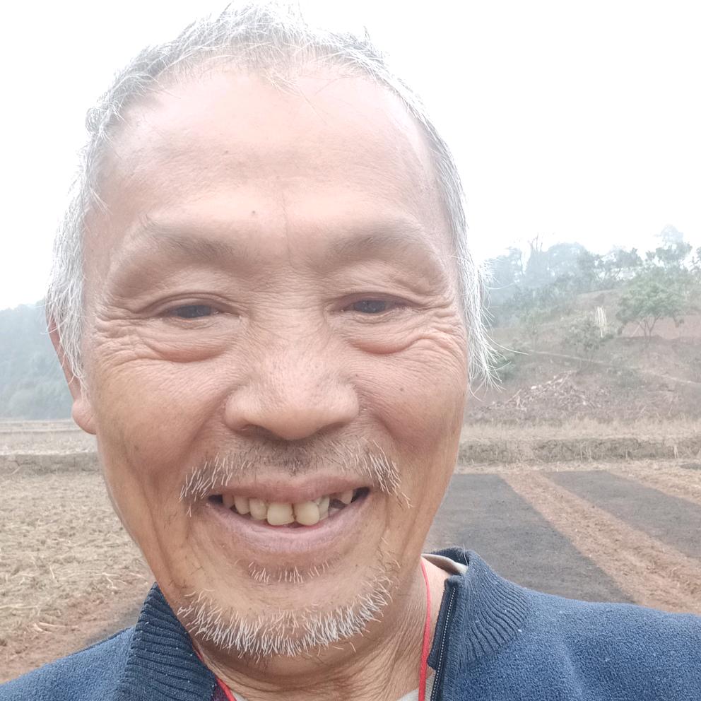赵泽伦
