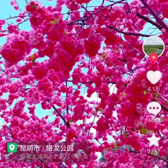素笺浅墨