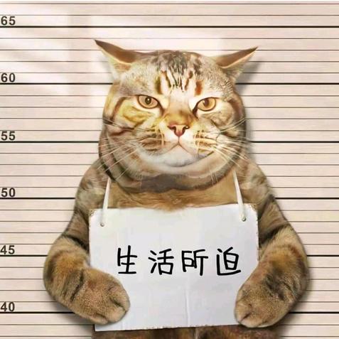 解忧大队
