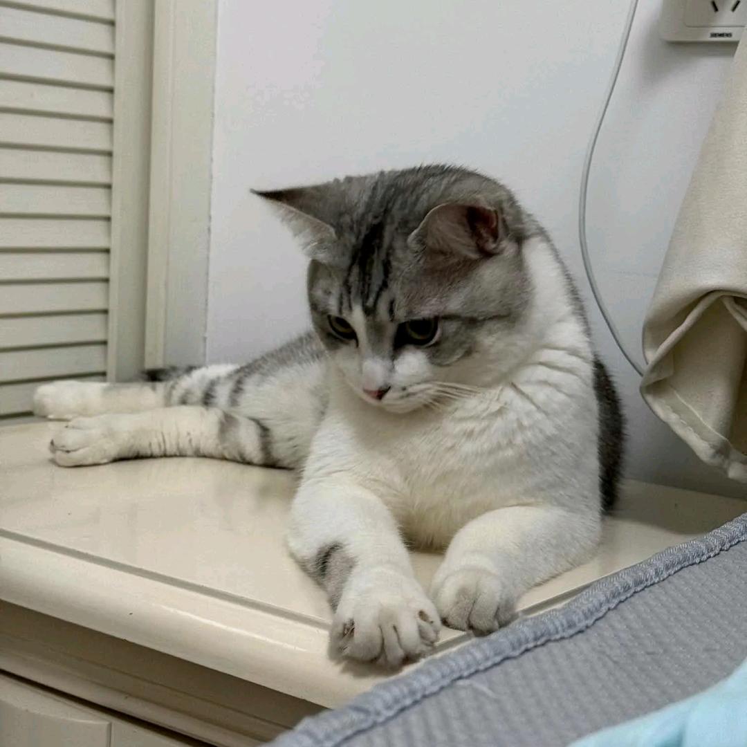 人定胜天