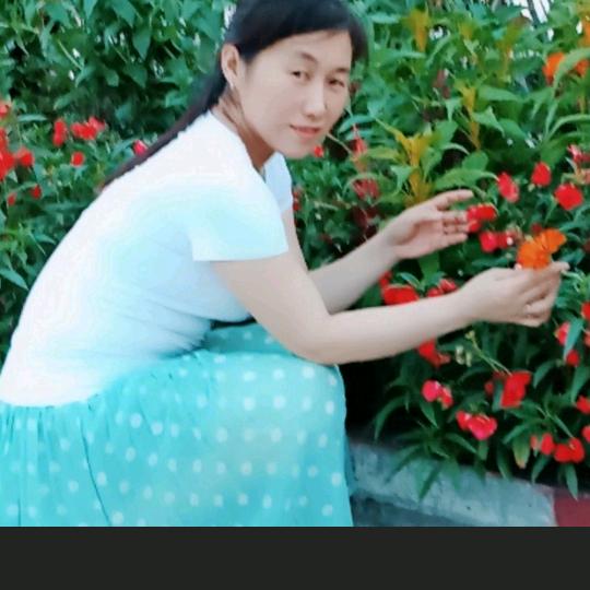 窗外优选