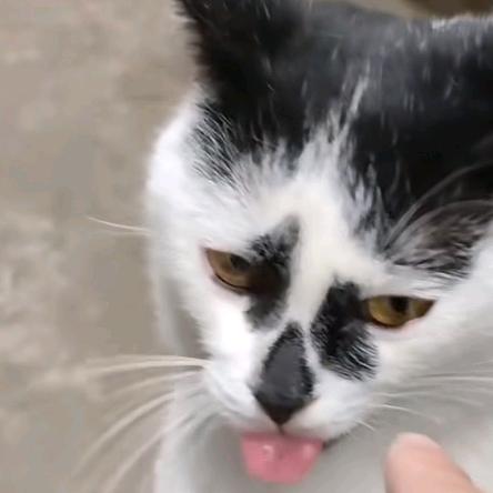 蚊子爱上我眼袋我反手挠两下痒痒算了