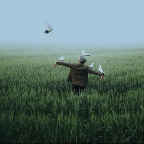 假正景🌾