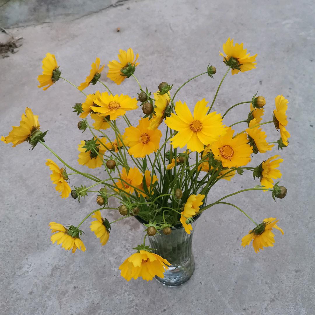 小伙🌹