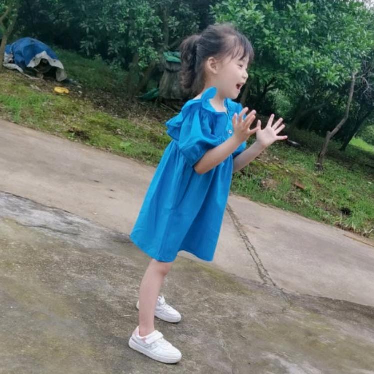 一条懒虫       🍂