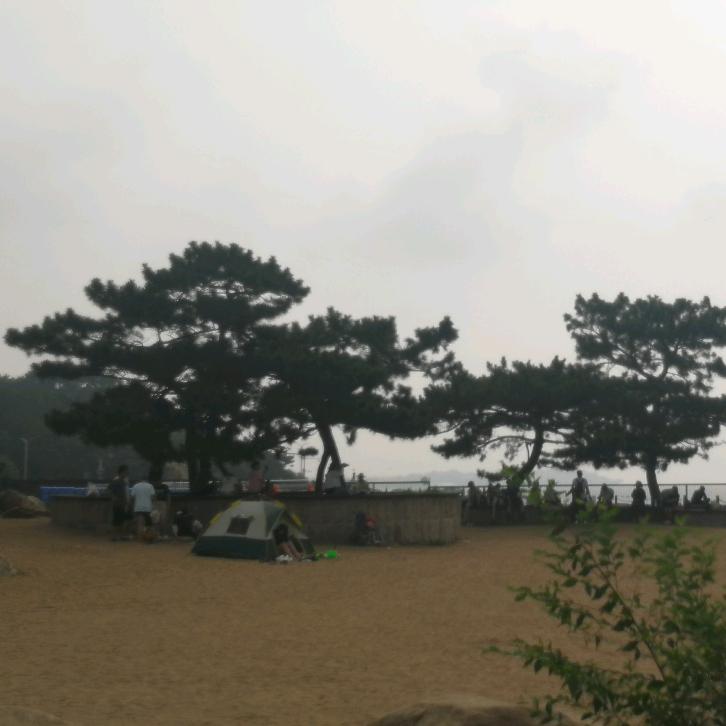 一缕清风