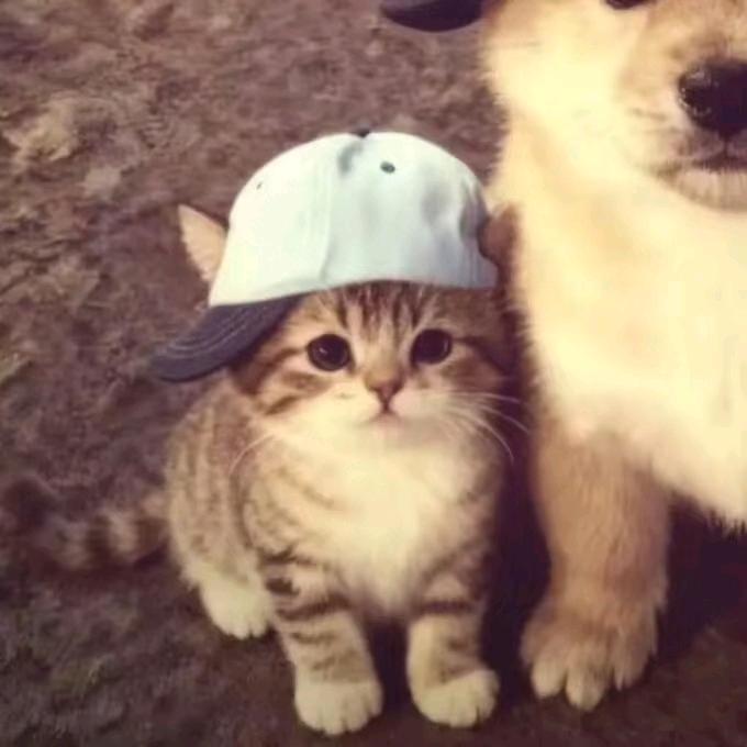 苏格拉没有底¹