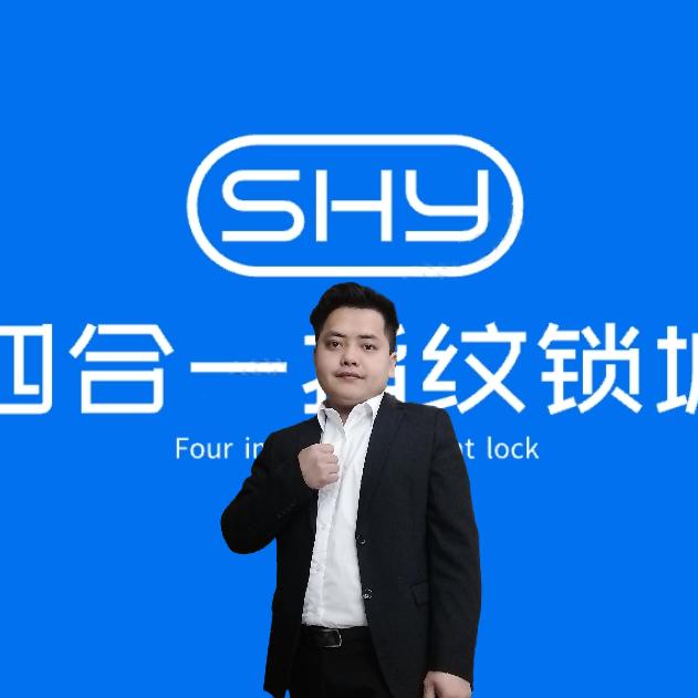 四合一指纹锁城 阿明