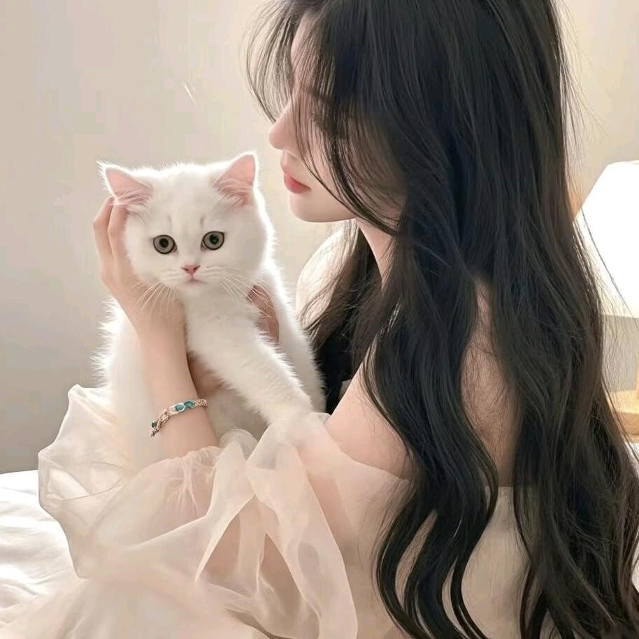 琴柒抚月