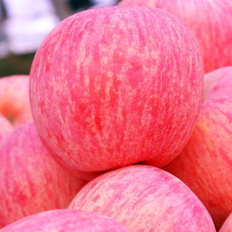 凤阁岭优质苹果