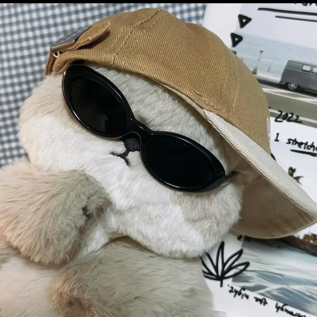 远方☃️