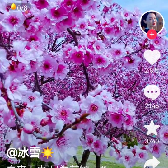 祺欣祺欣🎉🌈