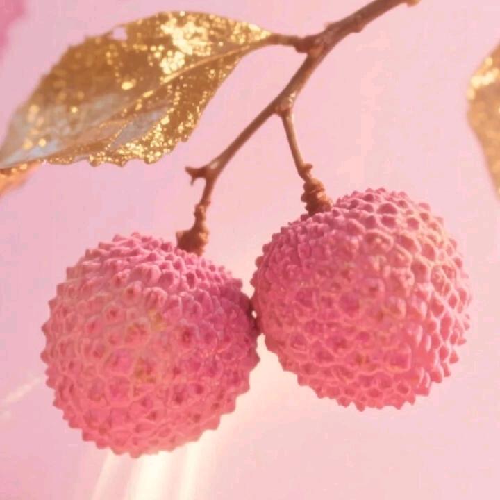 人心永远看不懂