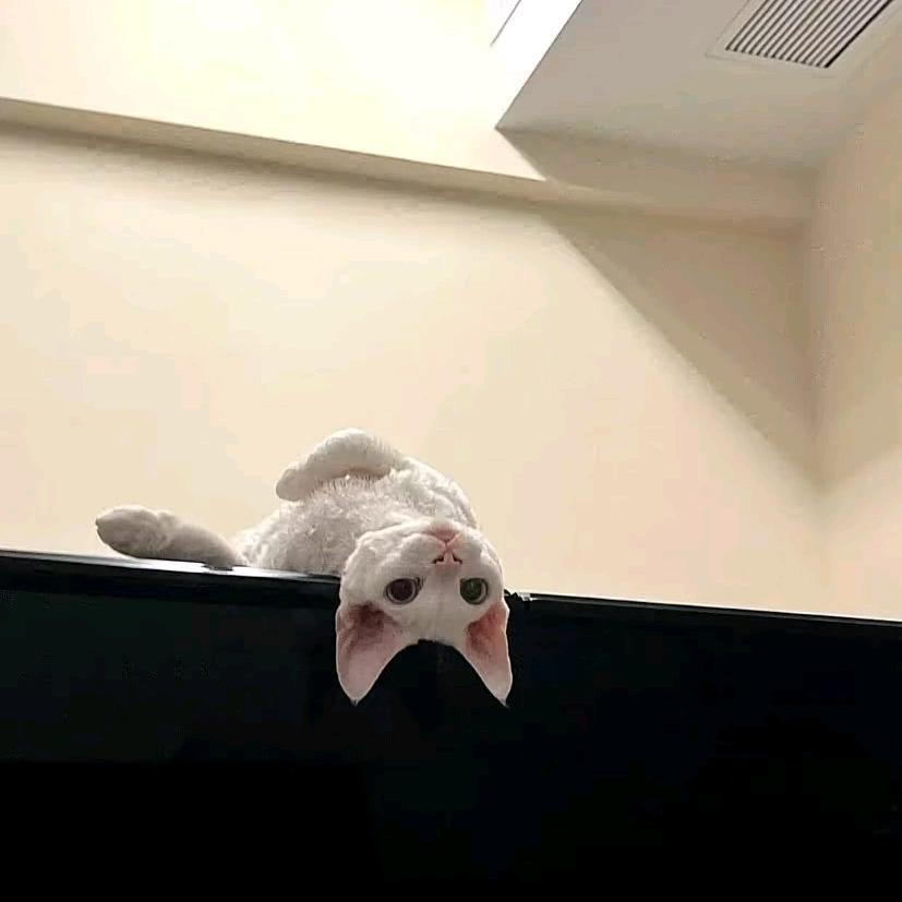 二踢脚