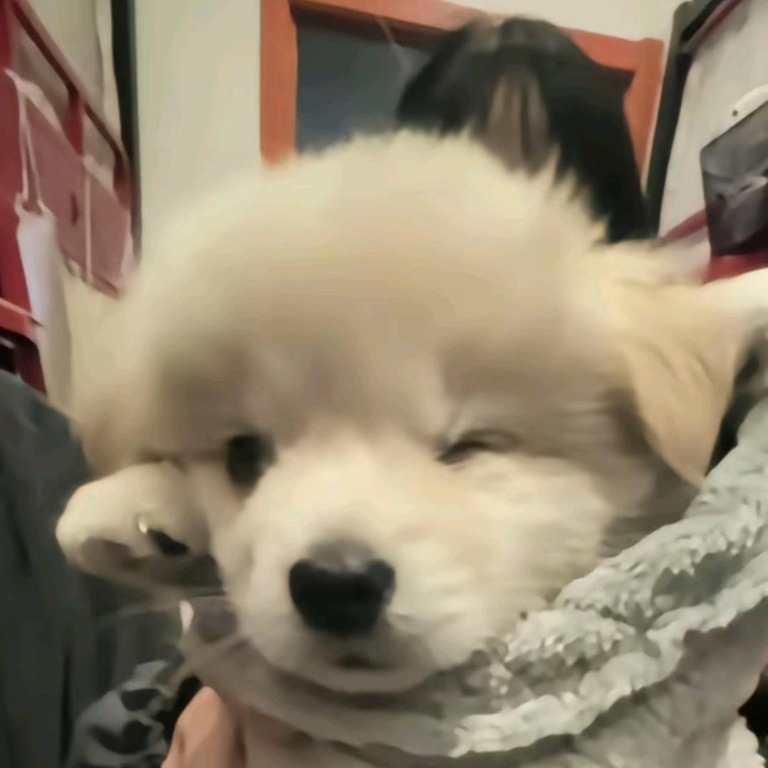 干嘛。
