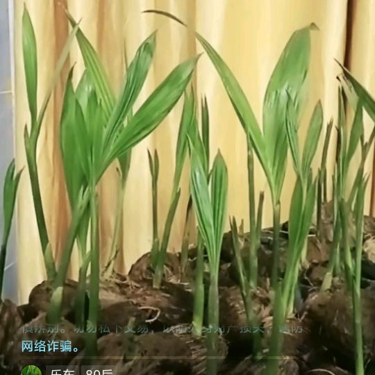 三亚游艇