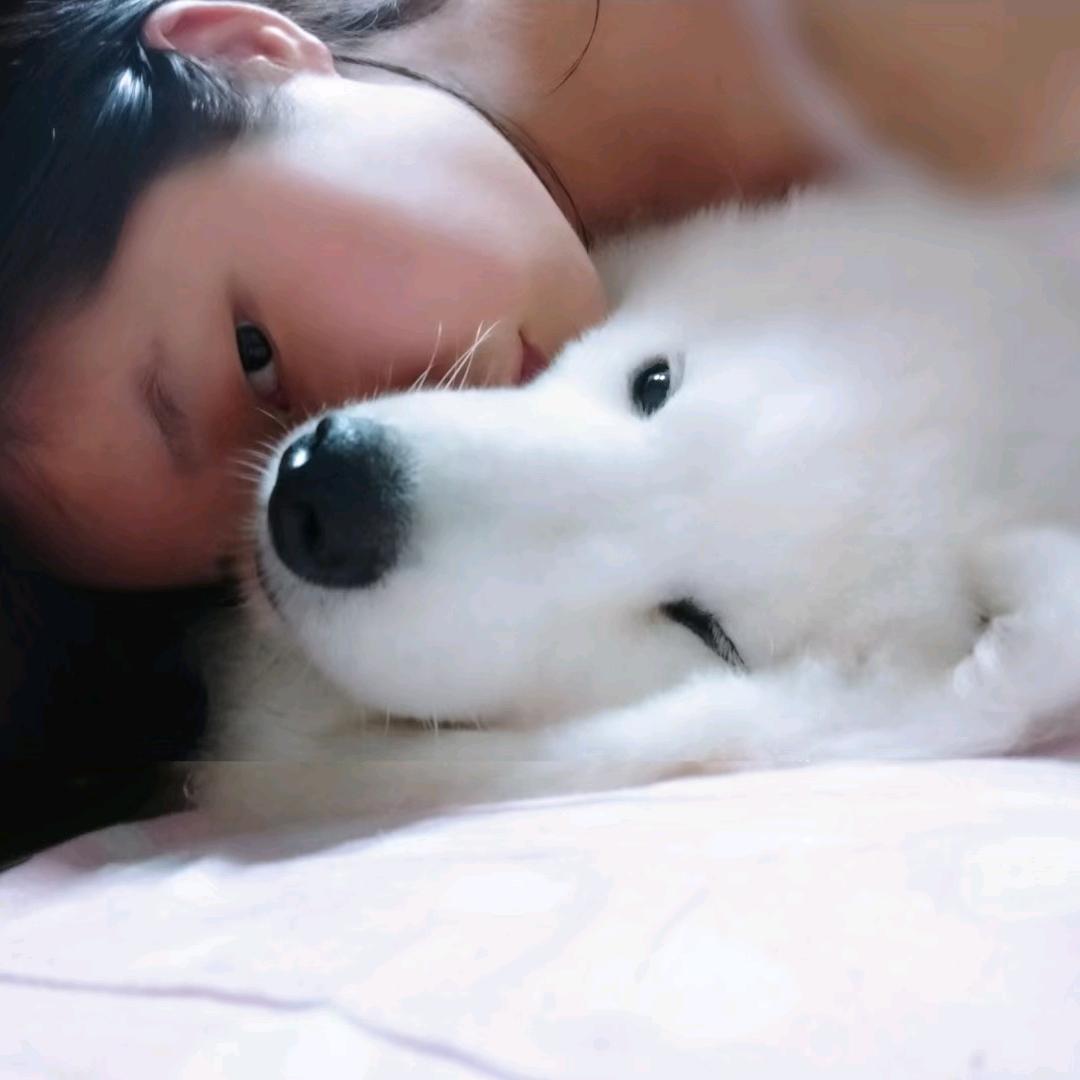 嘟嘟的小白脸