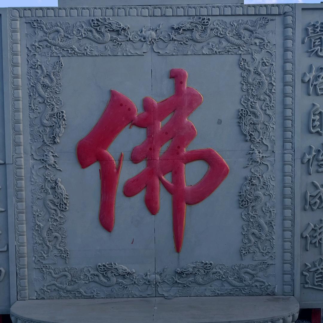 6随心所欲