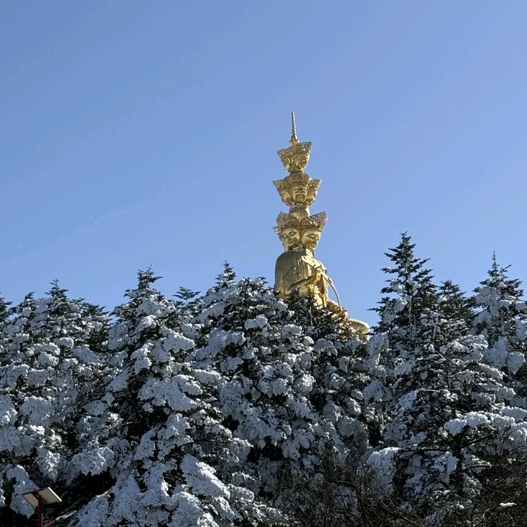 我的老公