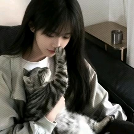 小面包包猫･◡･