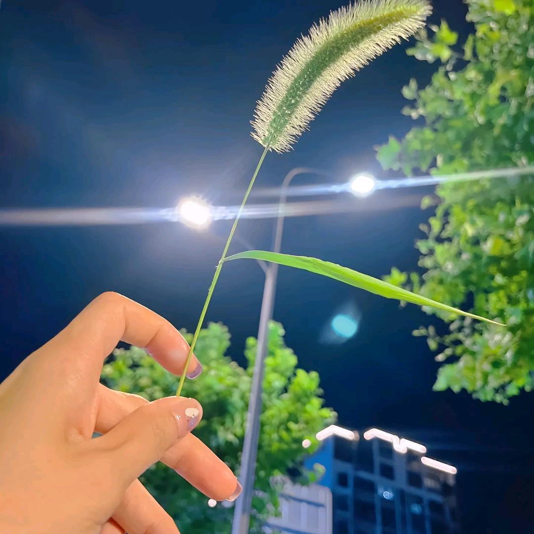 以诚相待