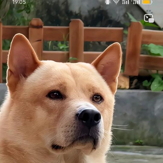 垨朢ㄖ忝空