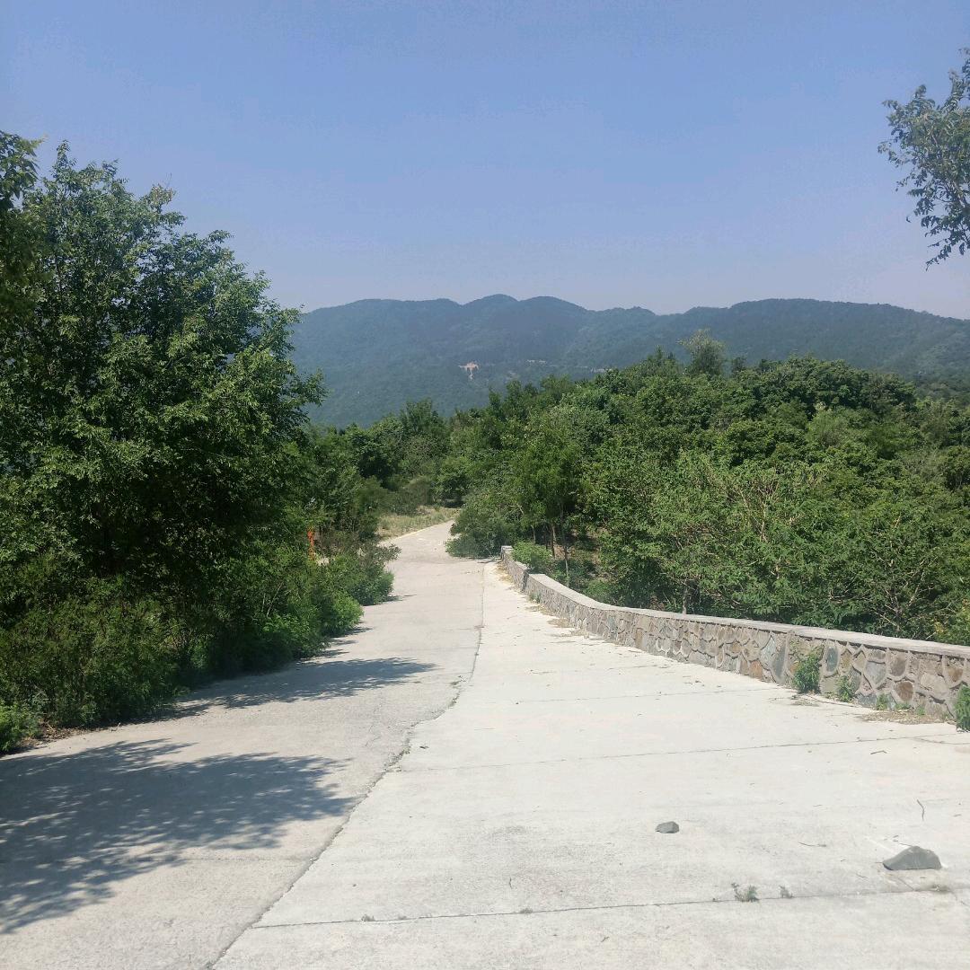 你若成风
