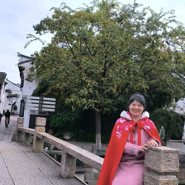 新桥管的日常生活