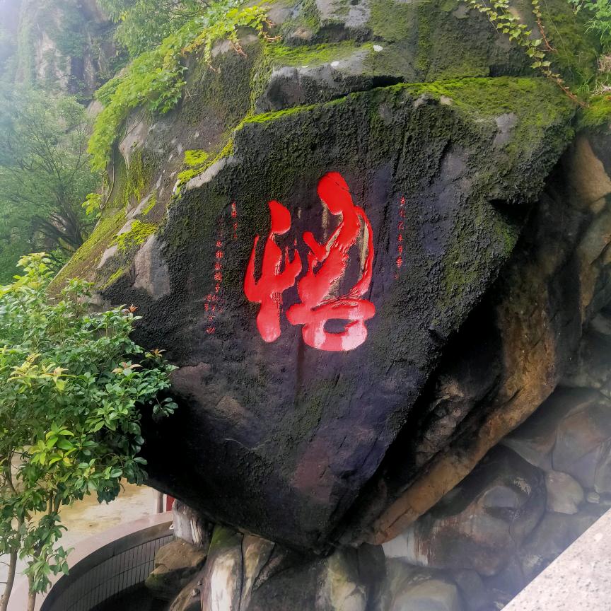 是夢、終會醒