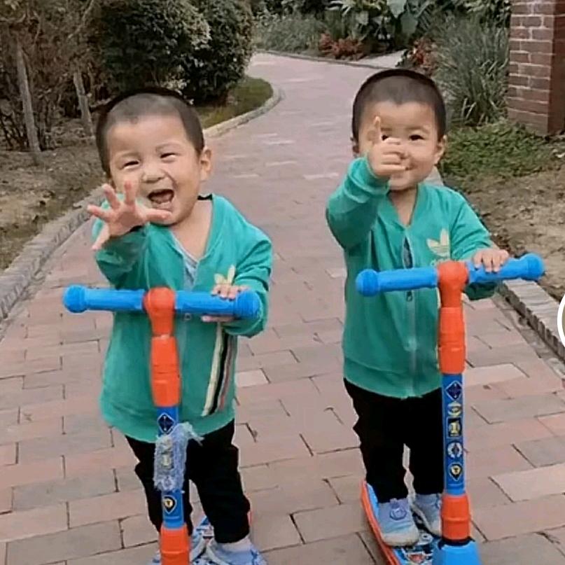 两只老虎爱跳舞