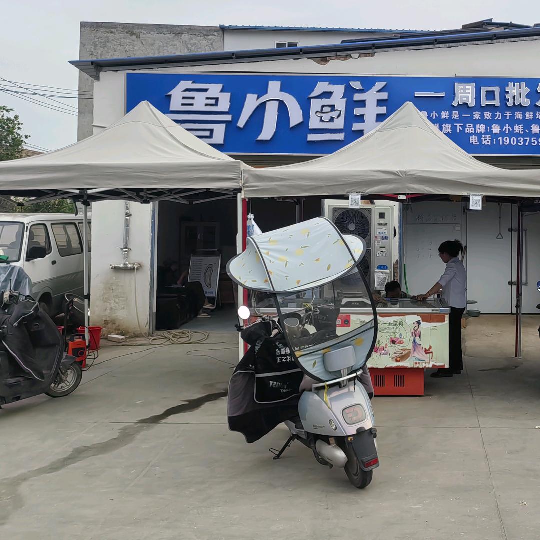 金色年华金领